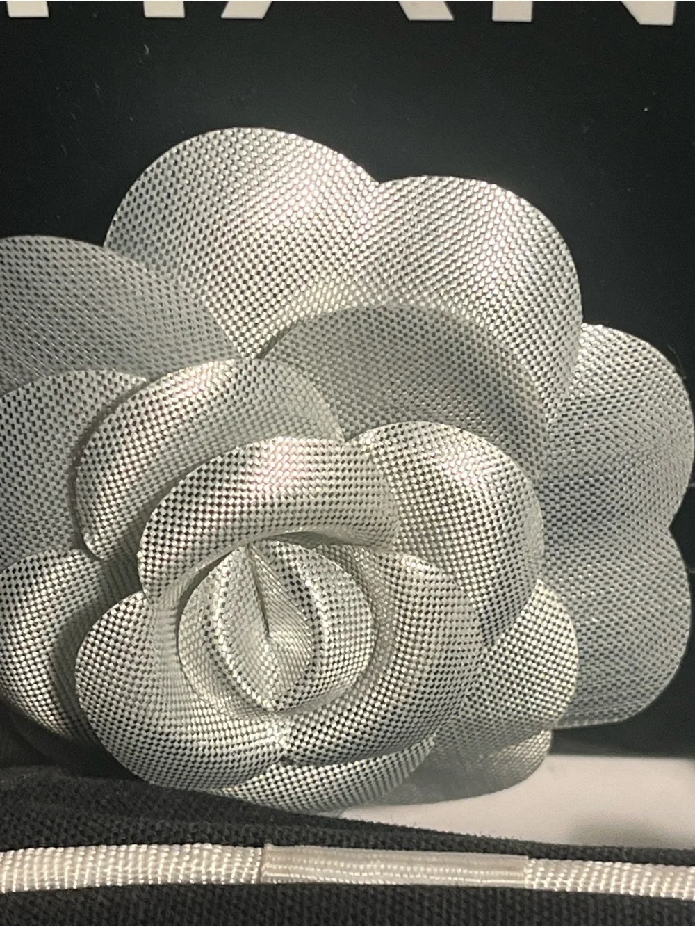 CHANEL as pictured